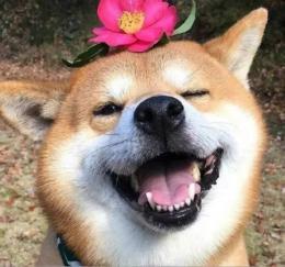 刘畊宏周杰伦陈小春,周杰伦刘畊宏昆凌