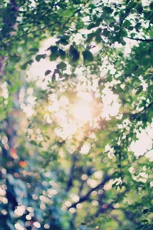 是风动亦是怦然心动,是风动亦是心动原声