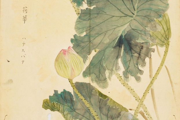 诗经中最唯美的名字,王姓女孩诗经中最唯美的名字