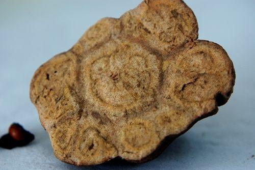 造假最多的十个中药材,名贵中药材造假的有哪些