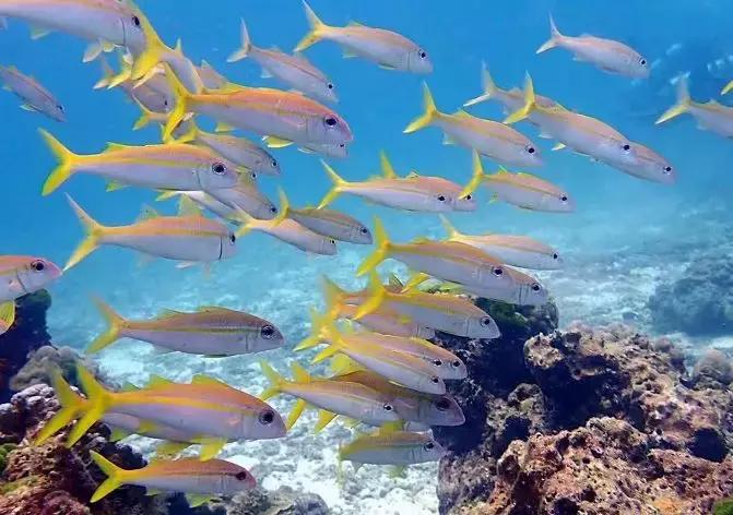 娉板浗鍗佸ぇ闅愯棌宀涘笨,娉板浗鍗佸ぇ闅愪笘娴峰矝