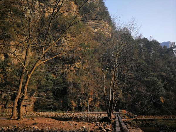 神奇美丽的张家界,张家界大自然仙境长视频