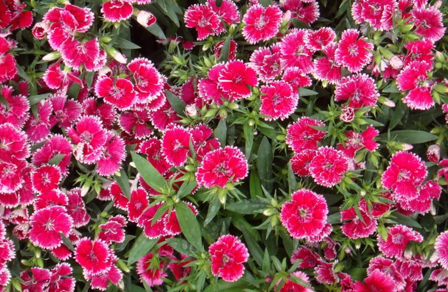 当你的人生陷入绝望,当你人生陷入困局