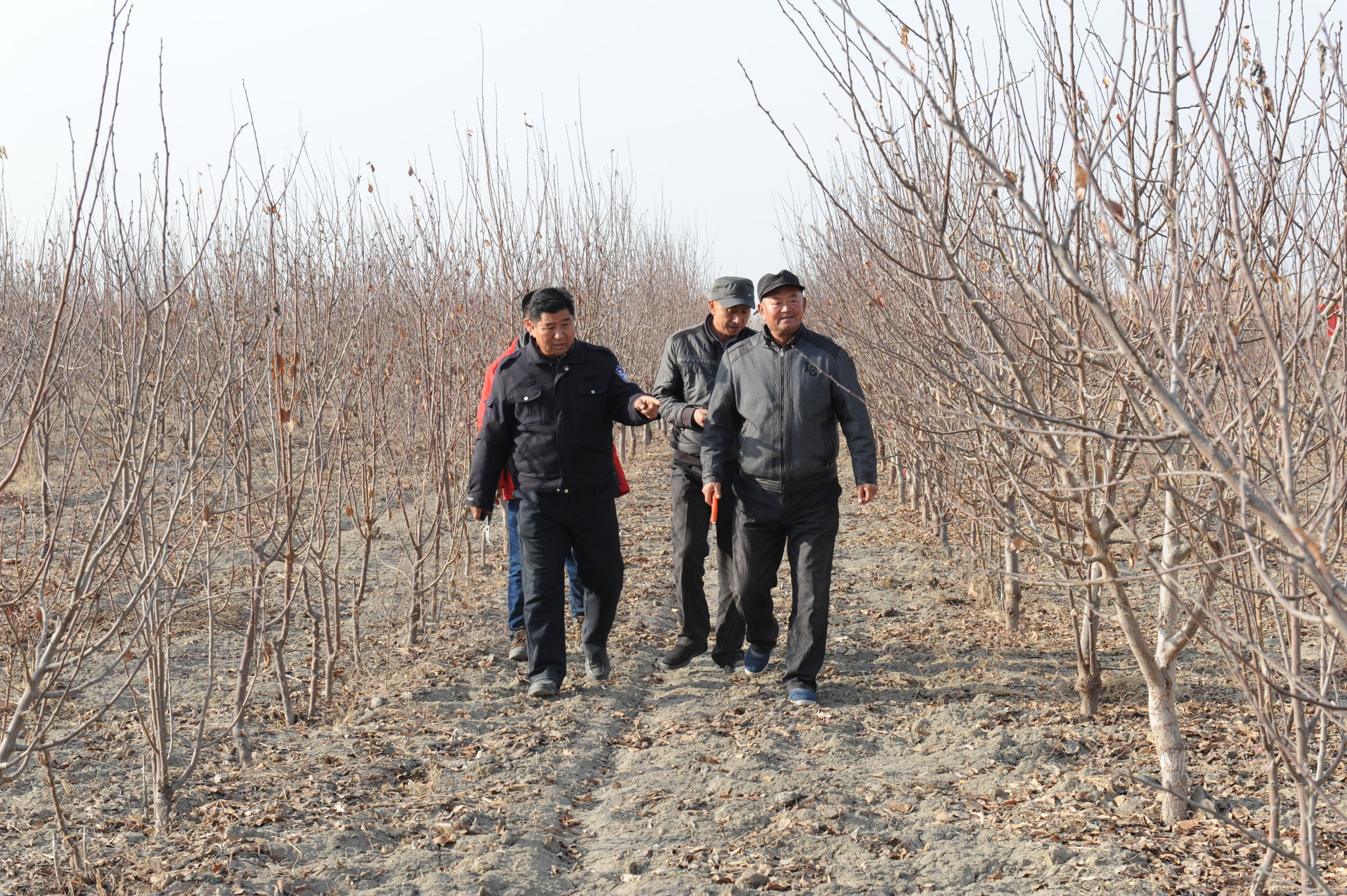 巴州中院访惠聚工作队驻村故事拉村的“黑脸书记”脑梗中风心脏搭桥不退缩田间地头群众利益挂心间