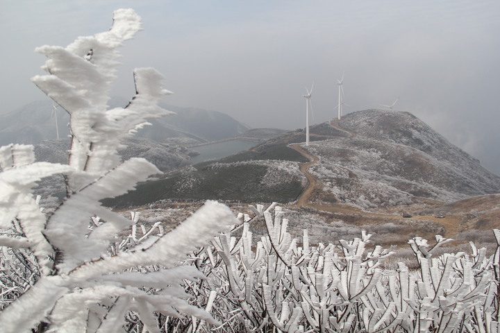 2018年浙江地方景点旅游日历大合集!含杭州,建德,温州,金华!