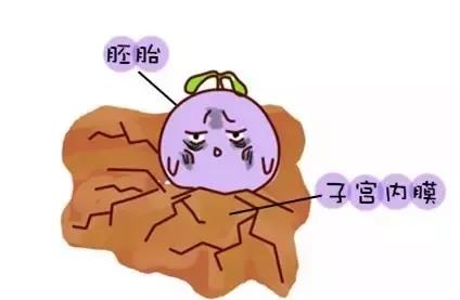 胎停育的大部分责任,胎停育太可怕了怎么预防