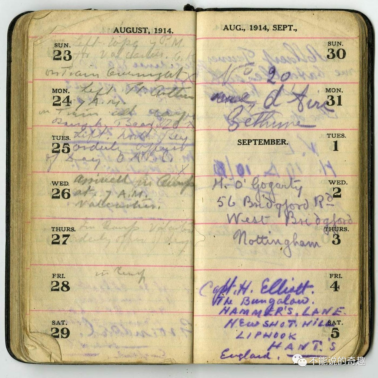 20美元被买下带回*队军**，50年后它成为红遍全球的小熊维尼