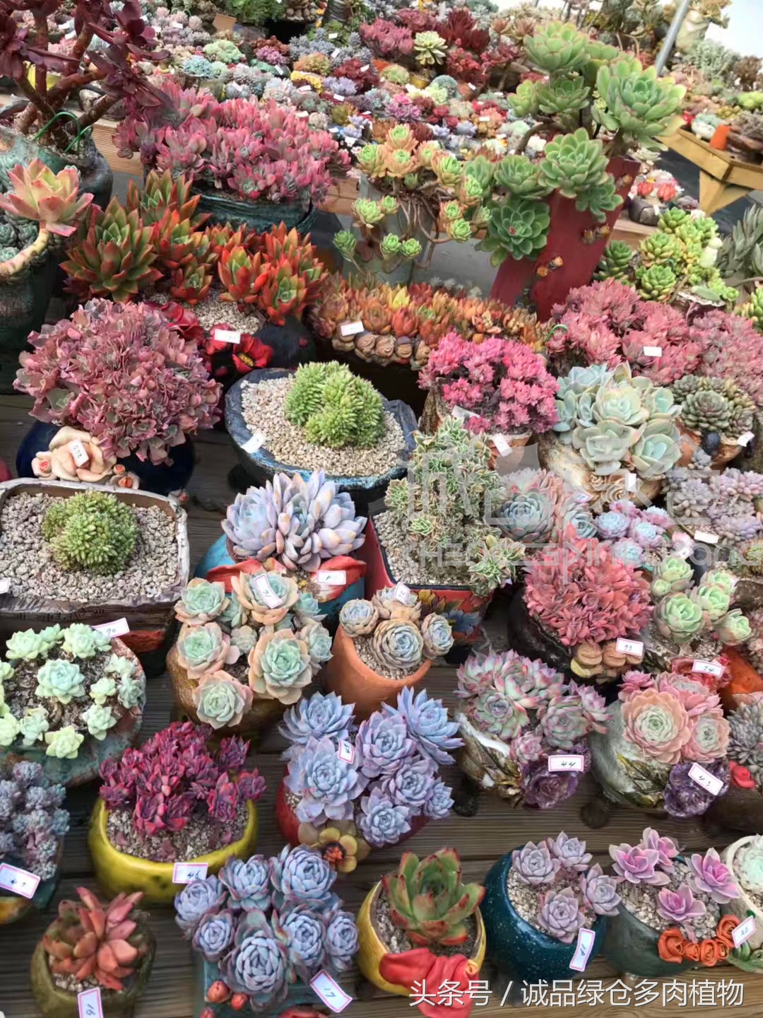 满足你对的所有幻想,满足你对生活所有的想象