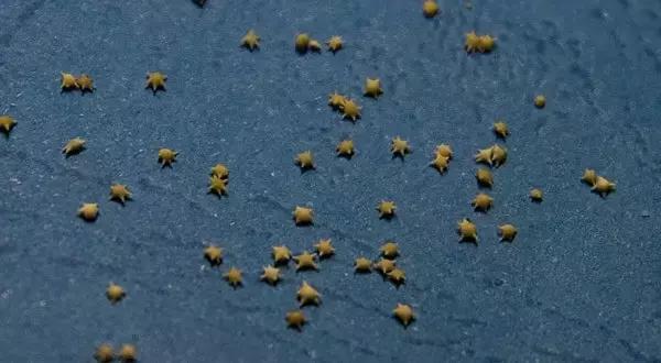 塞班岛怎么玩最便宜,塞班岛必玩10个项目