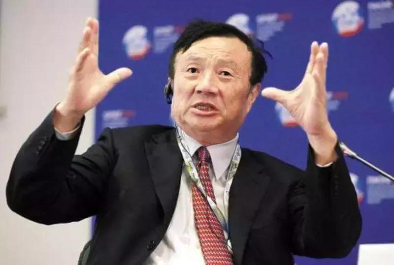 创业不能太理想主义,深情狗爸爸再谈宠物经济泪洒现场