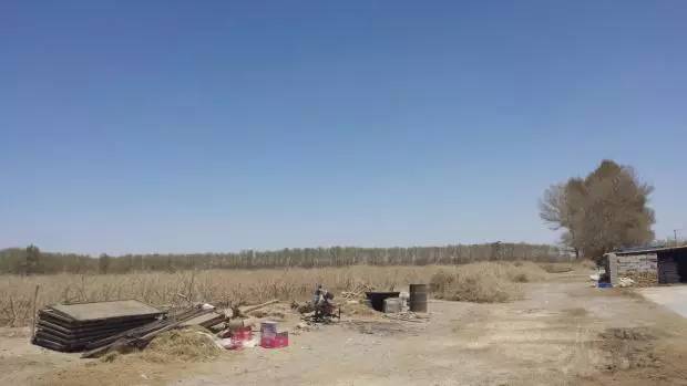 买手日记,买手日记主要做什么工作