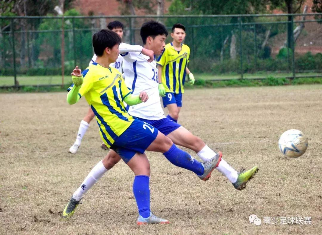 申花u17夺冠,u17赢中国