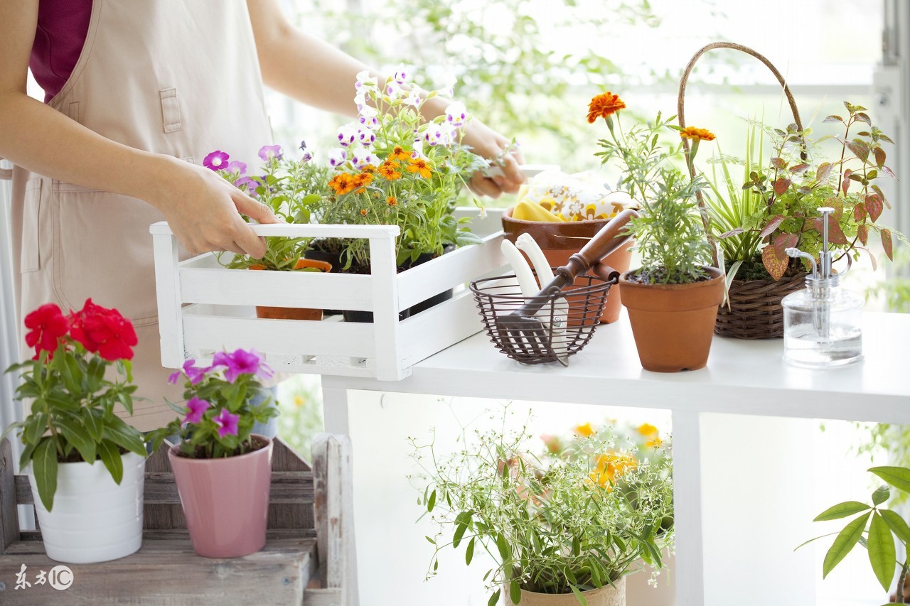 临沂低成本创业项目商机,有哪些低成本创业项目适合年轻人