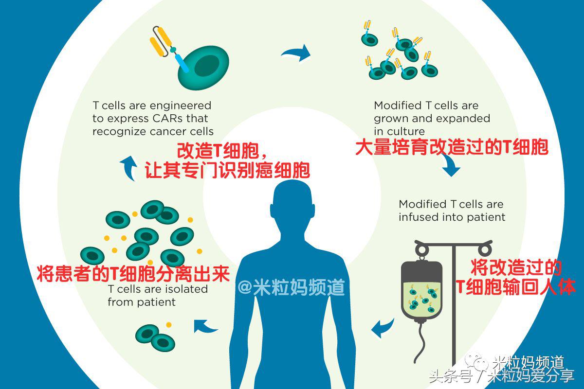 听说癌症能治了是真的吗,不是谣言是真的