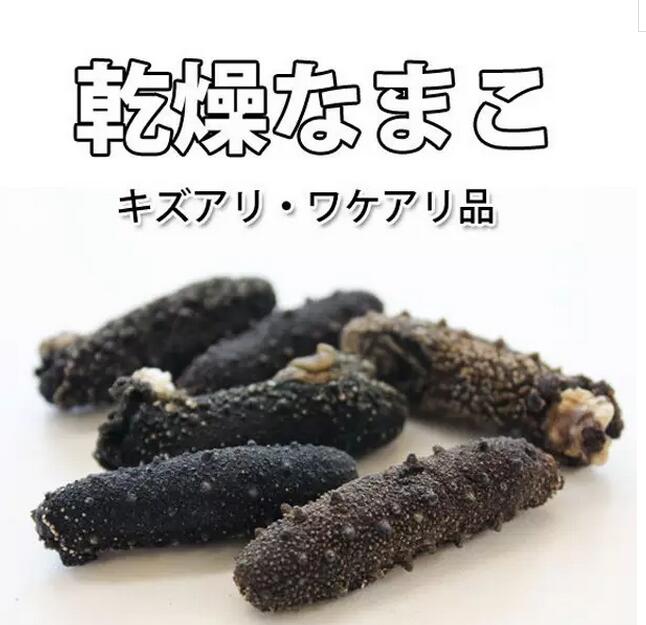 海参有上千种都是一样的吗,全世界海参有多少品种