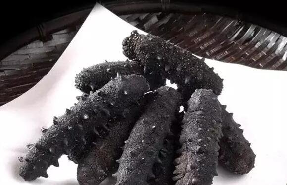 你知道世界上的鱼类有多少个,你知道的海底世界有多少种鱼