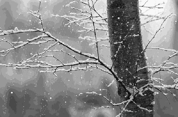 中医谈养生寻医不如自医,中医养生的关键在顺应自然