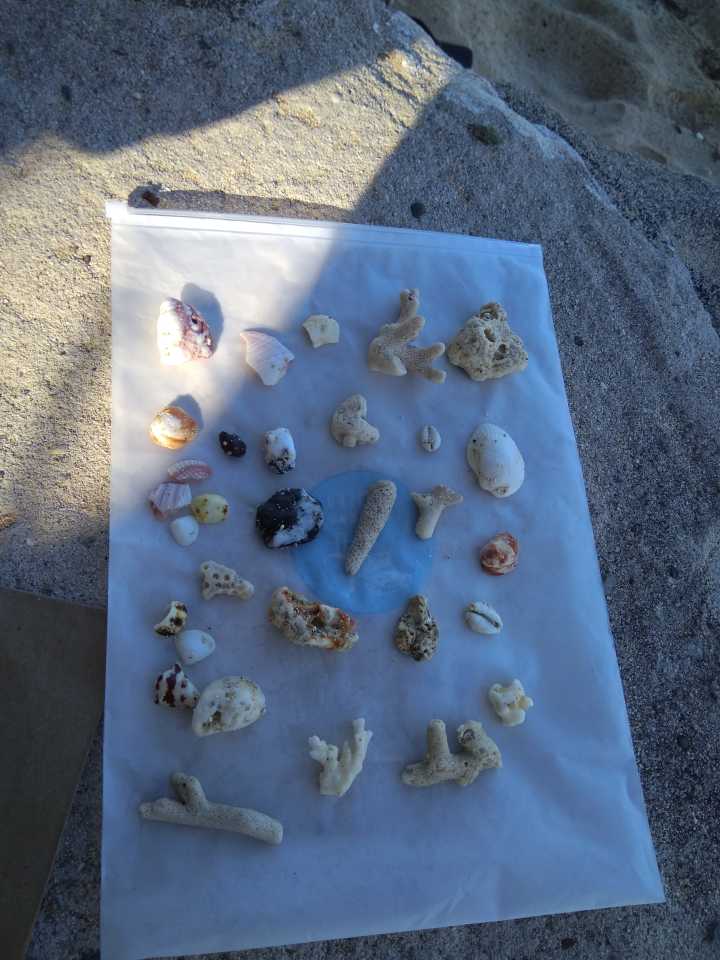 汤加和斐济哪个国家大,斐济国家主产什么