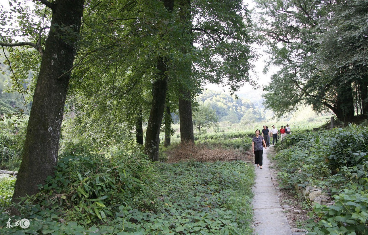 王之涣最有名的十首诗,王之涣一生只留下6首古诗