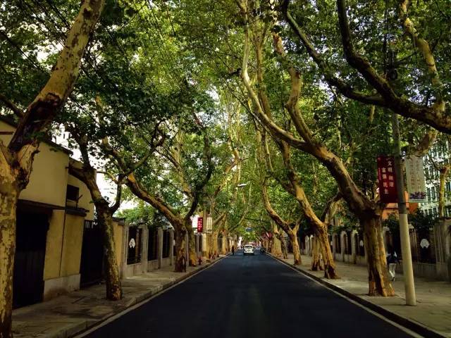 魔都最值得逛的76条马路,你都逛过了吗?