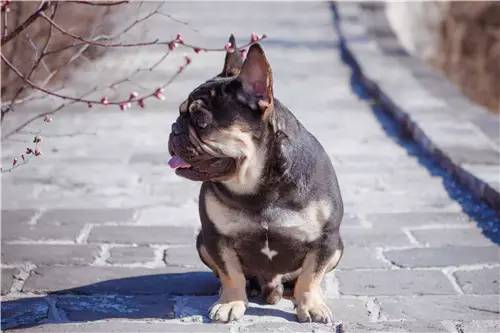 回顾欧帝亿和你相遇春の水长城