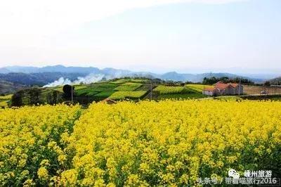 浙江绍兴嵊州生活水平怎么样,嵊州人外出打工的多吗