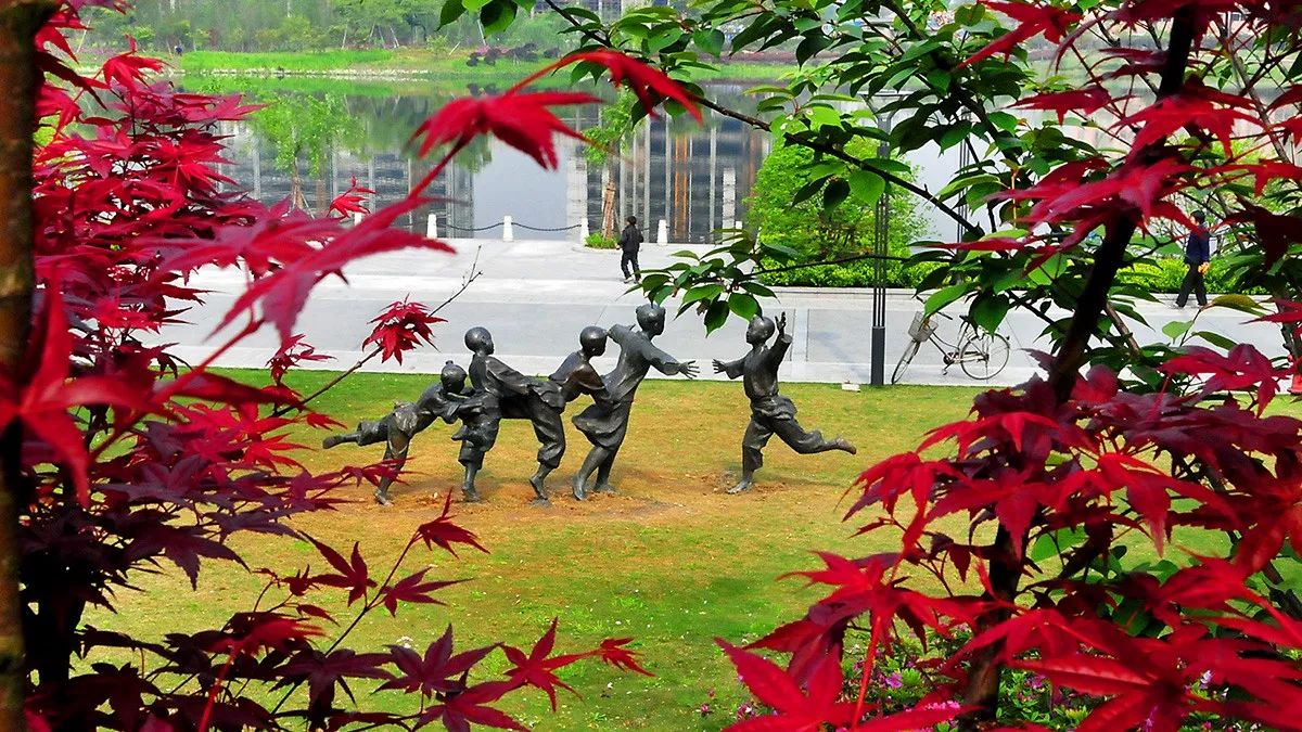 好天气不出门晒太阳,大好的天气不出门