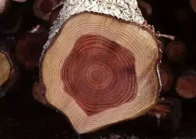 伟业铝材3d木纹,伟业铝材新色卡