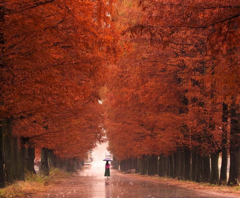 黄冈,这里不只有学霸和试卷