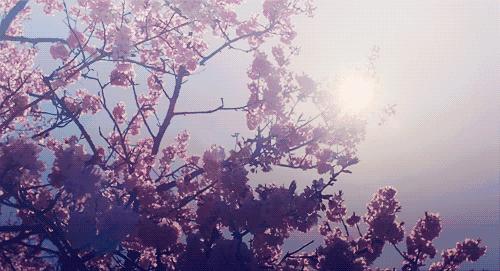 对上海这座城市的感悟,上海谢谢