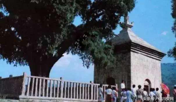 济南80后现状,济南80后的生活