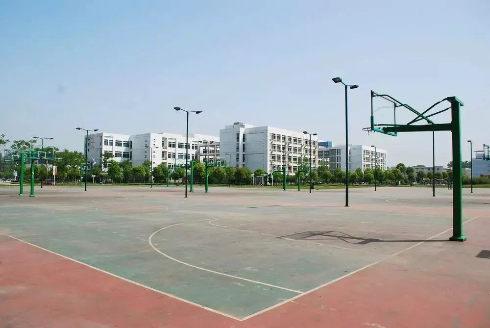 明天起，郑州这些东西统统免费！不知道你就亏大了！