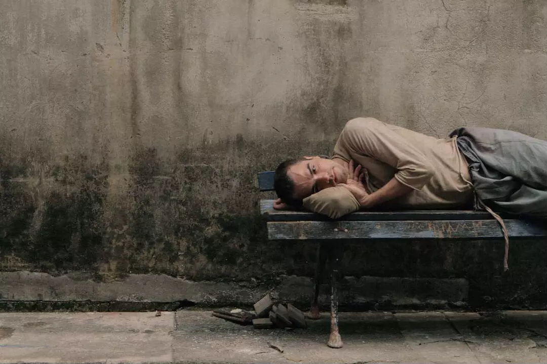 陆芳影评《尼斯：疯狂的心》：每个人都有成为自己的一万种活法