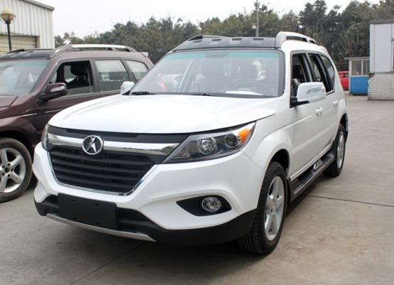 真正的野马能驯服么,哪一款野马最好