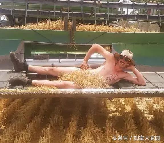 “劳动是最美的”！农民小哥农场“裸体庆丰收”火爆社交网络
