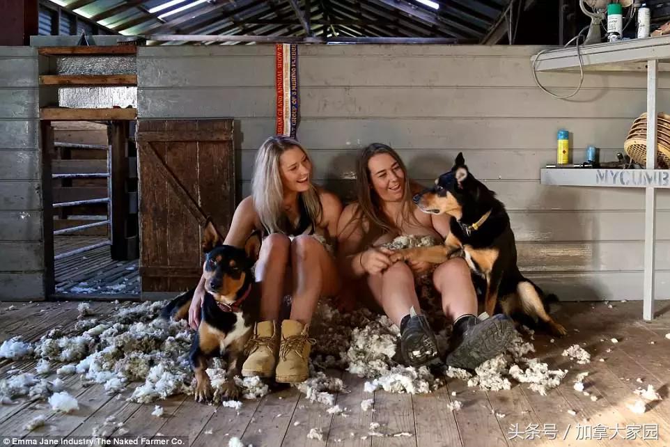 “劳动是最美的”！农民小哥农场“裸体庆丰收”火爆社交网络