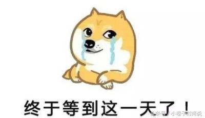 奢侈大牌贺岁,大牌狗年限定限量版