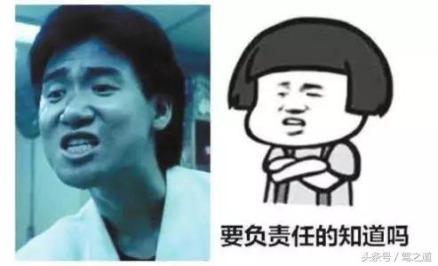 撞到动物怎么处理,开车撞到国家保护动物怎么办