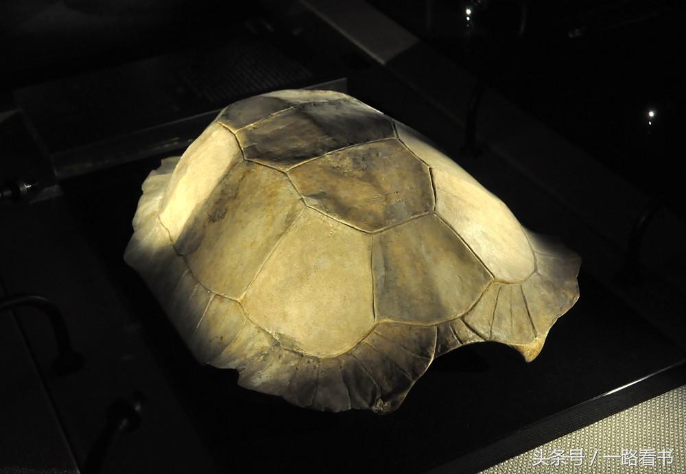 茅山秘术大揭秘,解密茅山道术