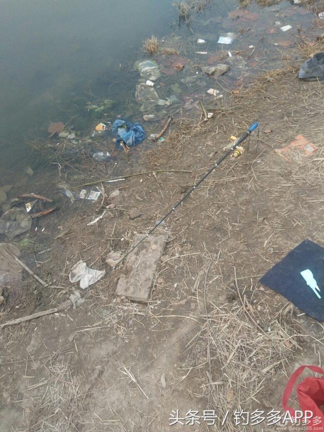 钓鱼新手如何做到钓鱼大师,一个合格钓鱼人应该具备的知识