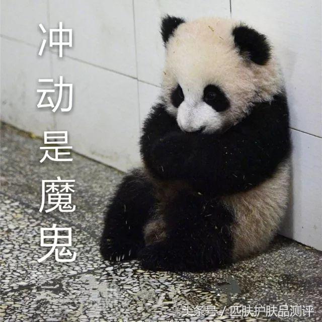 匹肤测评视频男士,匹肤测评可靠吗