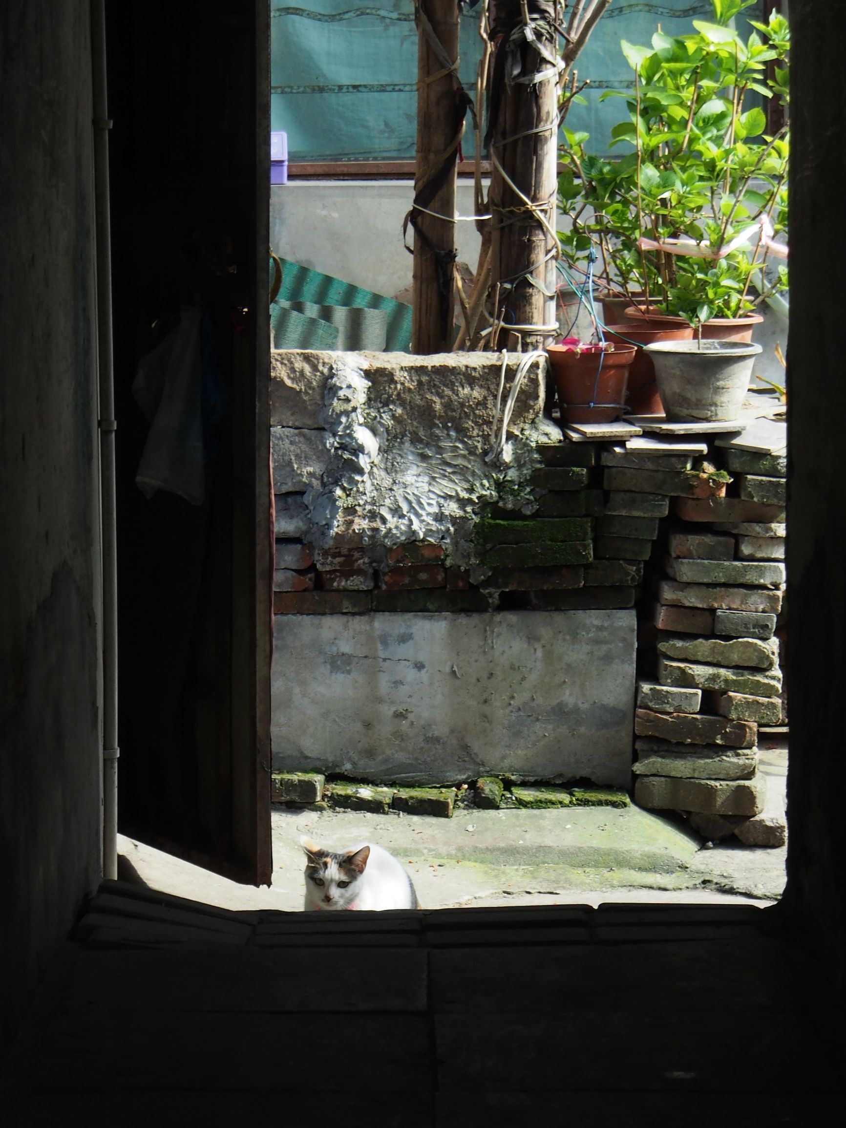 苏州相城沙溪古镇,苏州市沙溪古镇景区