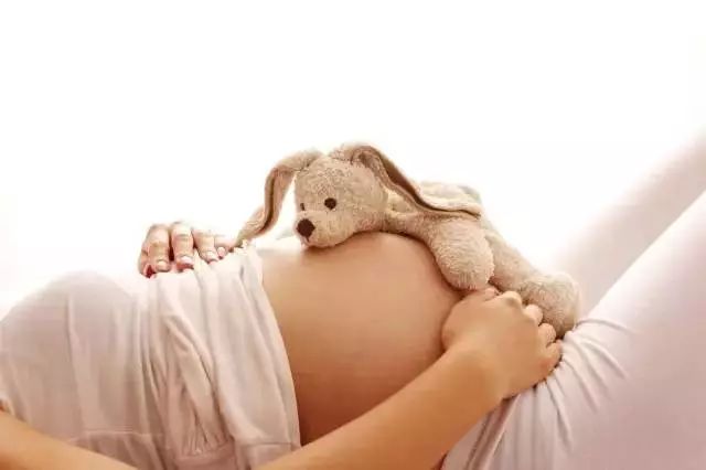 郑州东西统统免费吗,今天郑州哪些景区免费