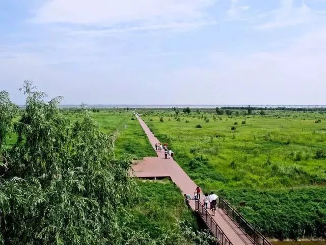 明天起，郑州这些东西统统免费！不知道你就亏大了！