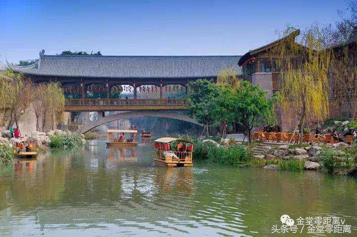 厉害了！金堂县又要火了，她即将代表中国走向世界！