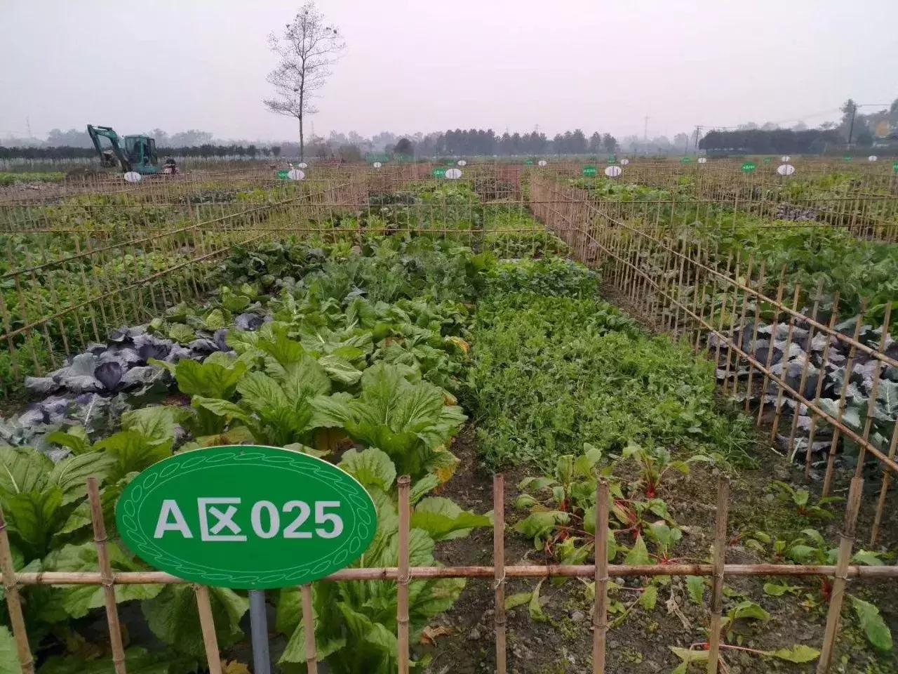 地还是那些地,人还是原来那些人,开心田园帮助农民致富大转变!