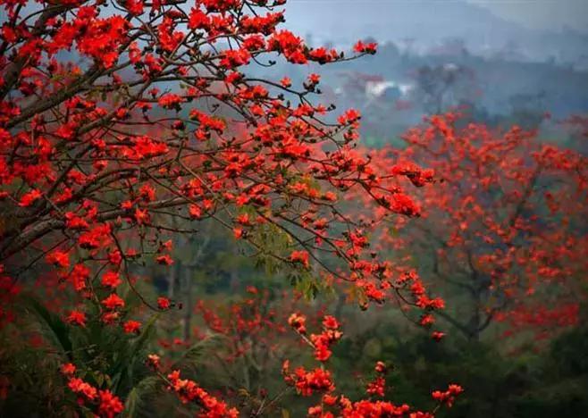 春节自驾山西旅游4-5天详细攻略,2019春节上海出发自驾旅游去哪里