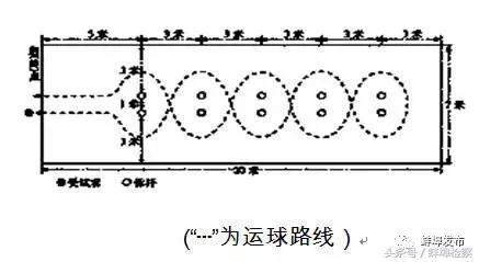 中考的体育的免考和择考规则,2019中考体育考试项目评分标准