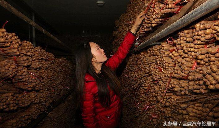 这位姑娘放弃十万年薪，开着房车卖山药