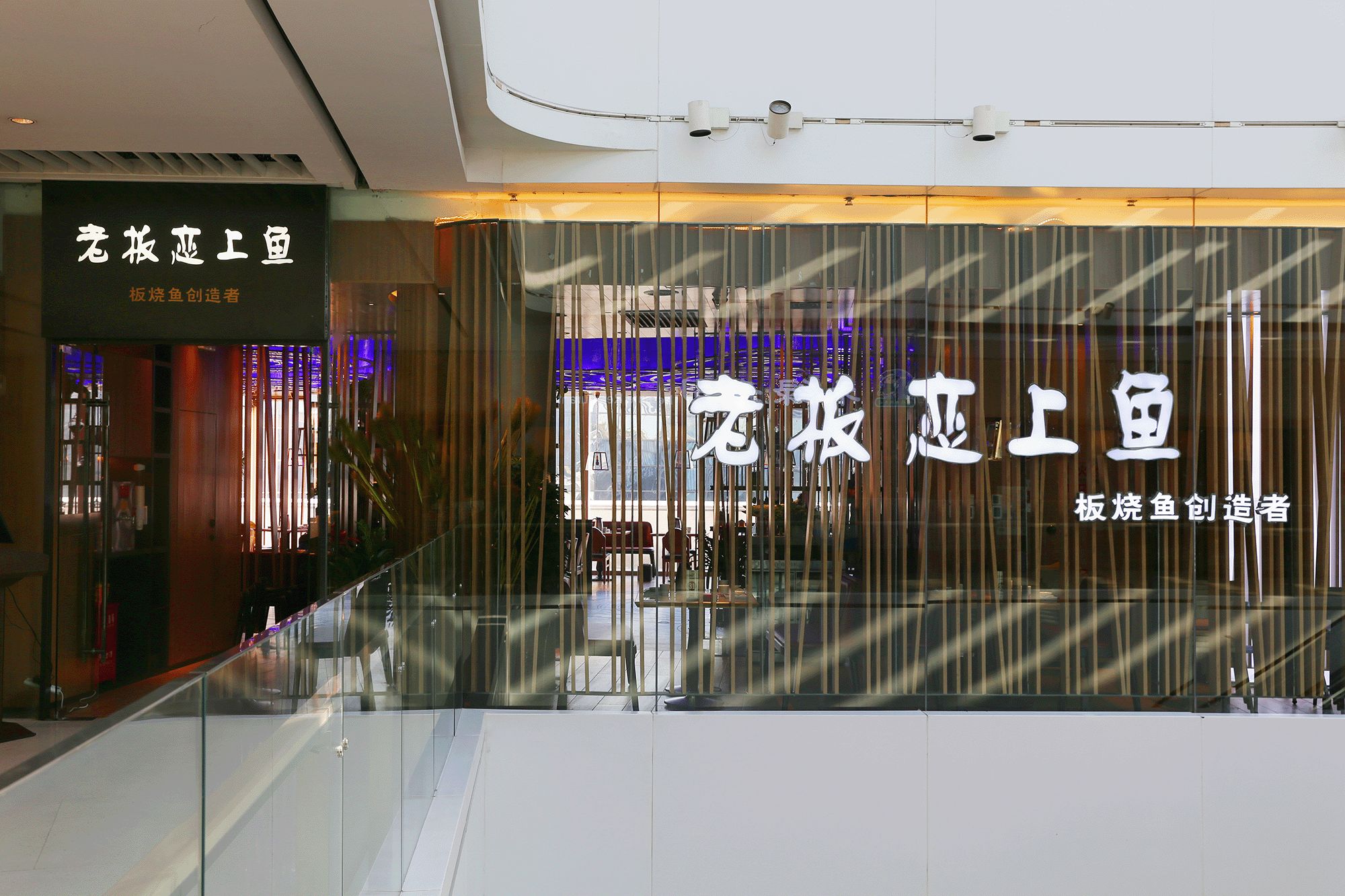 弘阳广场济南老板恋上鱼,济南老板恋上鱼价格